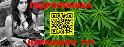 а пвп мука Будённовск
