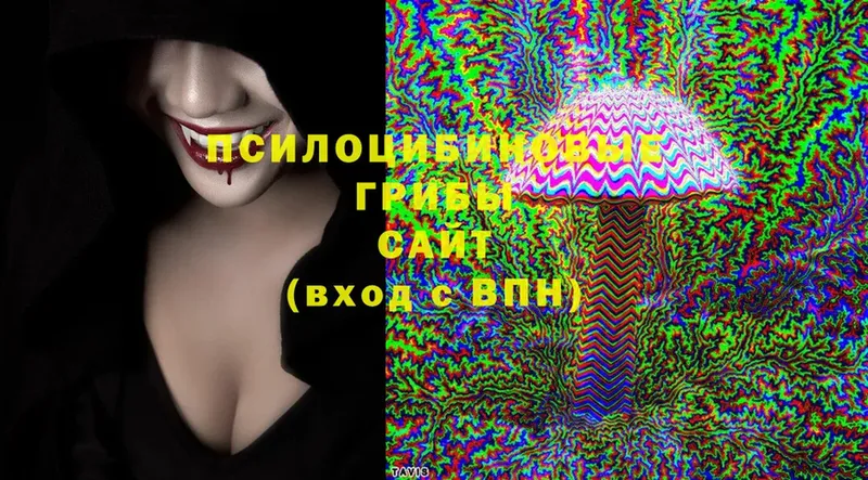 купить наркотик  сайты даркнета какой сайт  Псилоцибиновые грибы MAGIC MUSHROOMS  Клин 