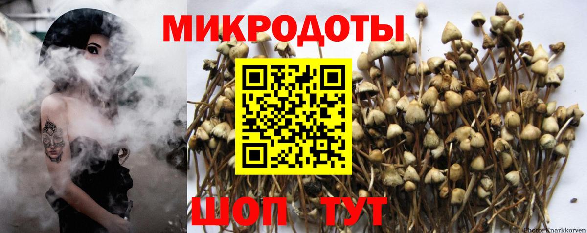 купить закладку  Галлюциногенные грибы Cubensis  Вход с VPN  Клин 