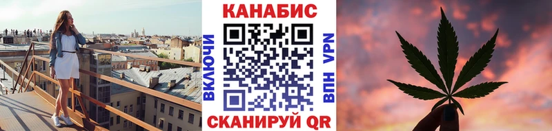 KRAKEN ONION  Клин  Каннабис планчик 